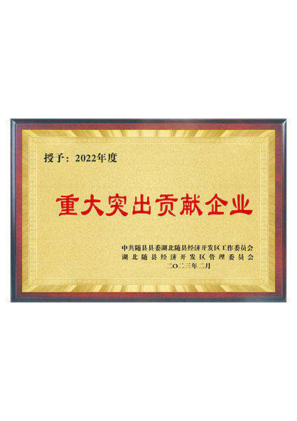 重大突出貢獻(xiàn)企業(yè)